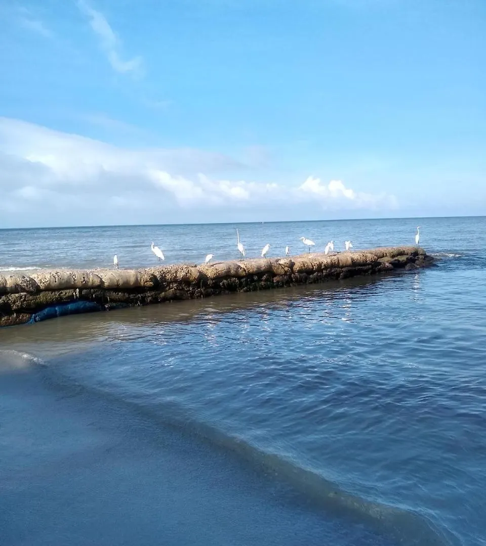 Reserva De La Sierra Santa Marta  Santa Marta (Magdalena)